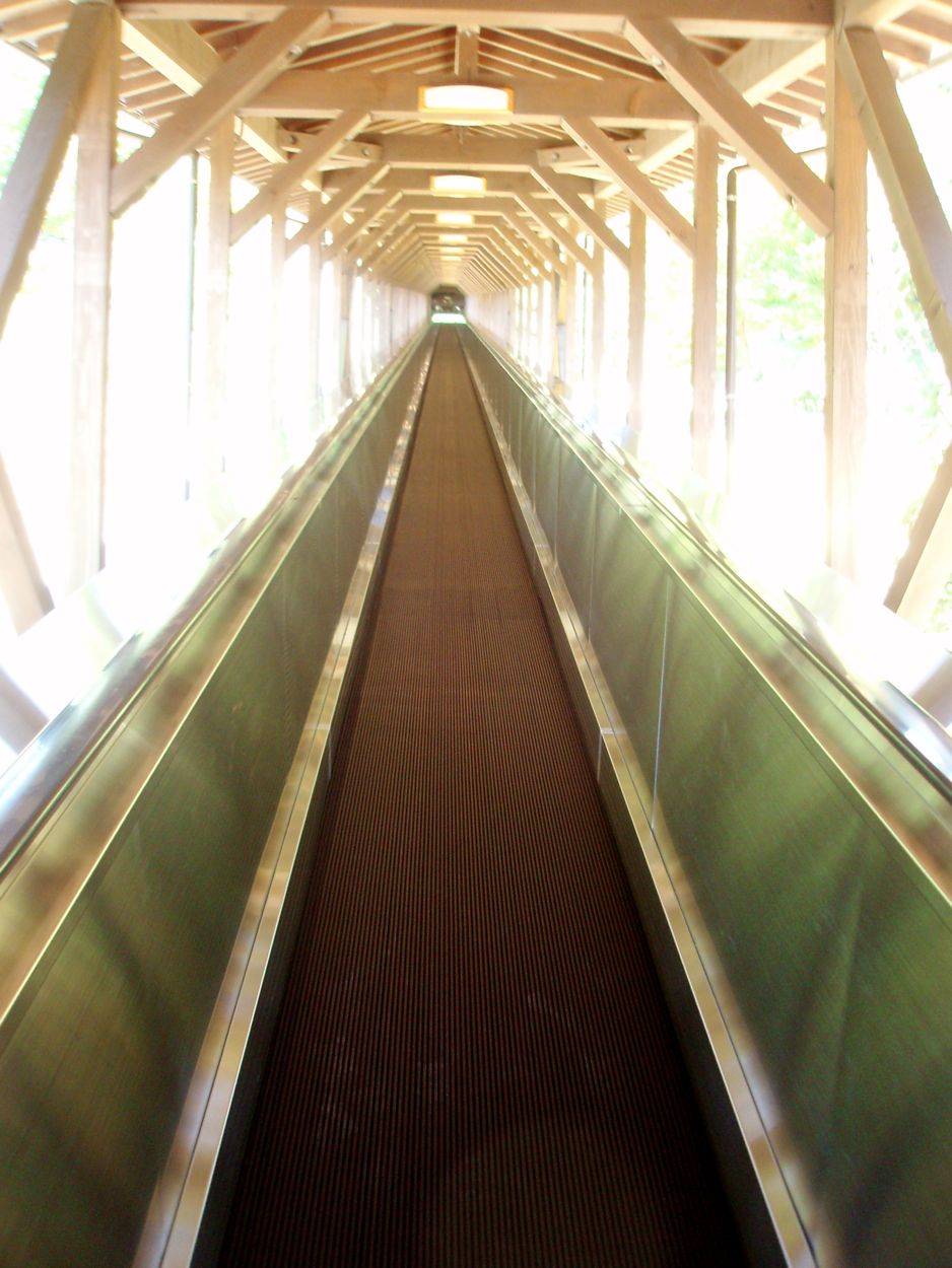 Photography by 10000trees for DesignCrowd (Community Contests) | Design #8959838