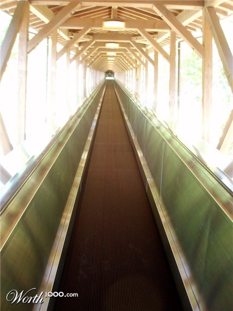 Photography by 10000trees