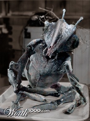 Photoshop Design by jbuchmann55