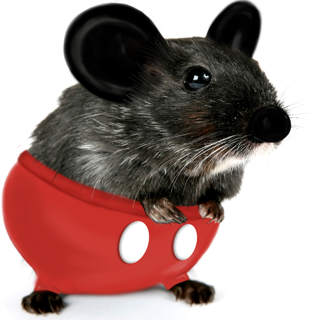 Photoshop Design by AscariDesign for DesignCrowd (Community Contests) | Design #8960042