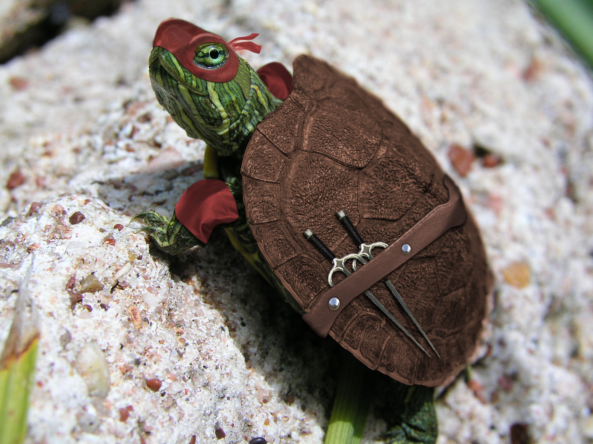 Photoshop Design by binome for DesignCrowd (Community Contests) | Design #8960056