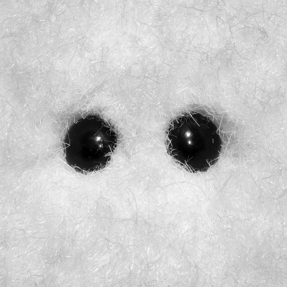 Photography by sausirhi for DesignCrowd (Community Contests) | Design #8957679