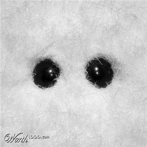 Photography by sausirhi