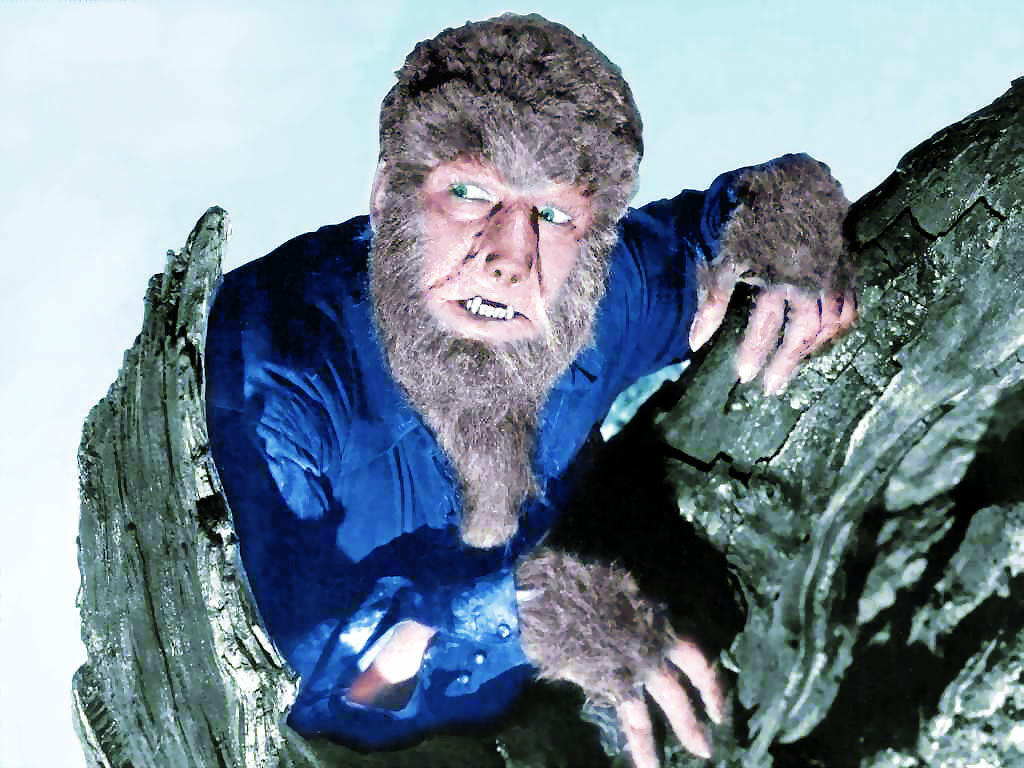 Diseño de Photoshop por DolmaCat para DesignCrowd (Community Contests) | Diseño #8959426