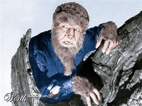 Photoshop Design by DolmaCat