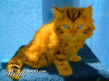 Photoshop Design by zurcchan