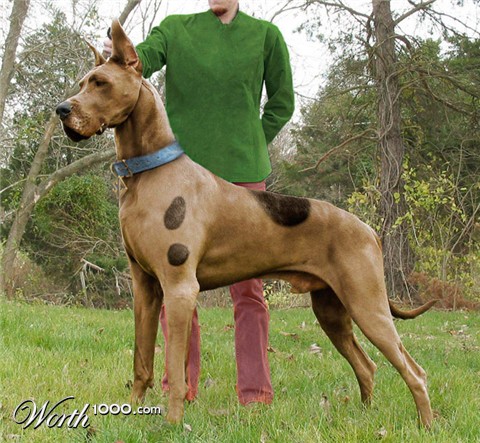 Photoshop Design by jinesh10