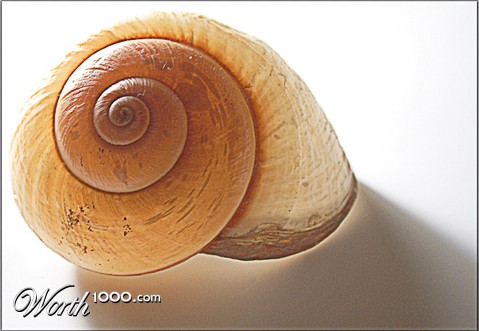 Photography by petsitter