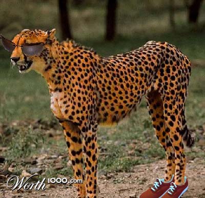 Photoshop Design by ventura05