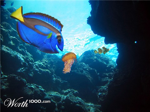 Photoshop Design by phillp