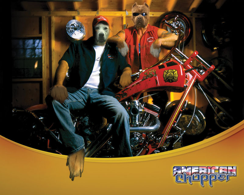 Diseño de Photoshop por tasja71 para DesignCrowd (Community Contests) | Diseño #8955604