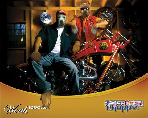 Photoshop Design by tasja71