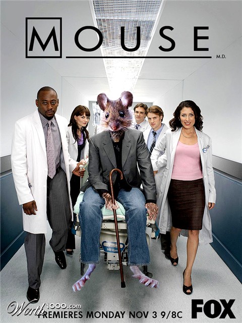Photoshop Design by MadMardigan