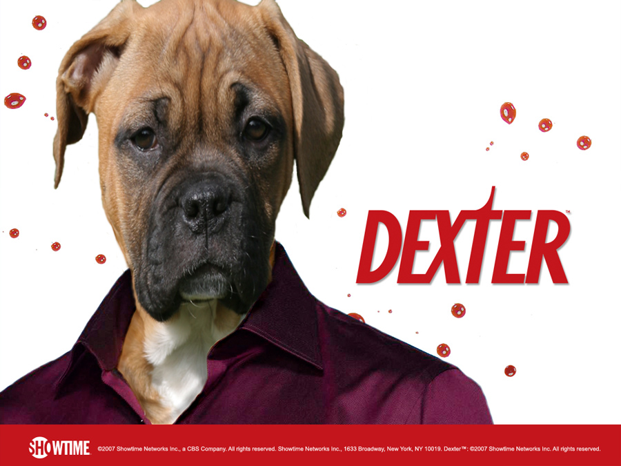 Diseño de Photoshop por uksweetheart para DesignCrowd (Community Contests) | Diseño #8955625