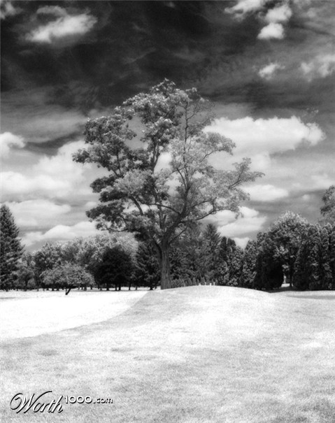 Photography by emilylt87