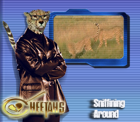 Photoshop Design by Cis4Cookie for DesignCrowd (Community Contests) | Design #8955656