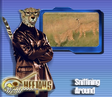 Photoshop Design by Cis4Cookie