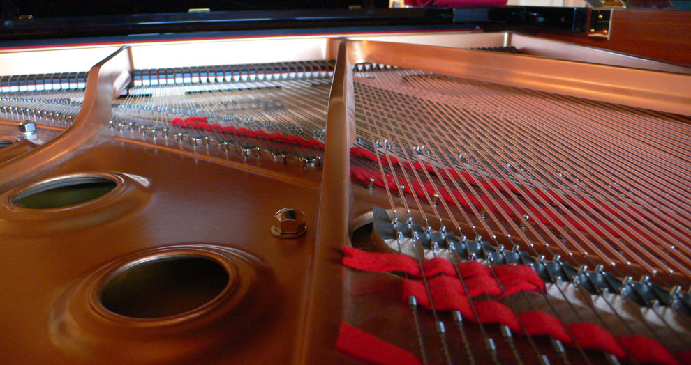 Photography by cemaydin for DesignCrowd (Community Contests) | Design #8959858