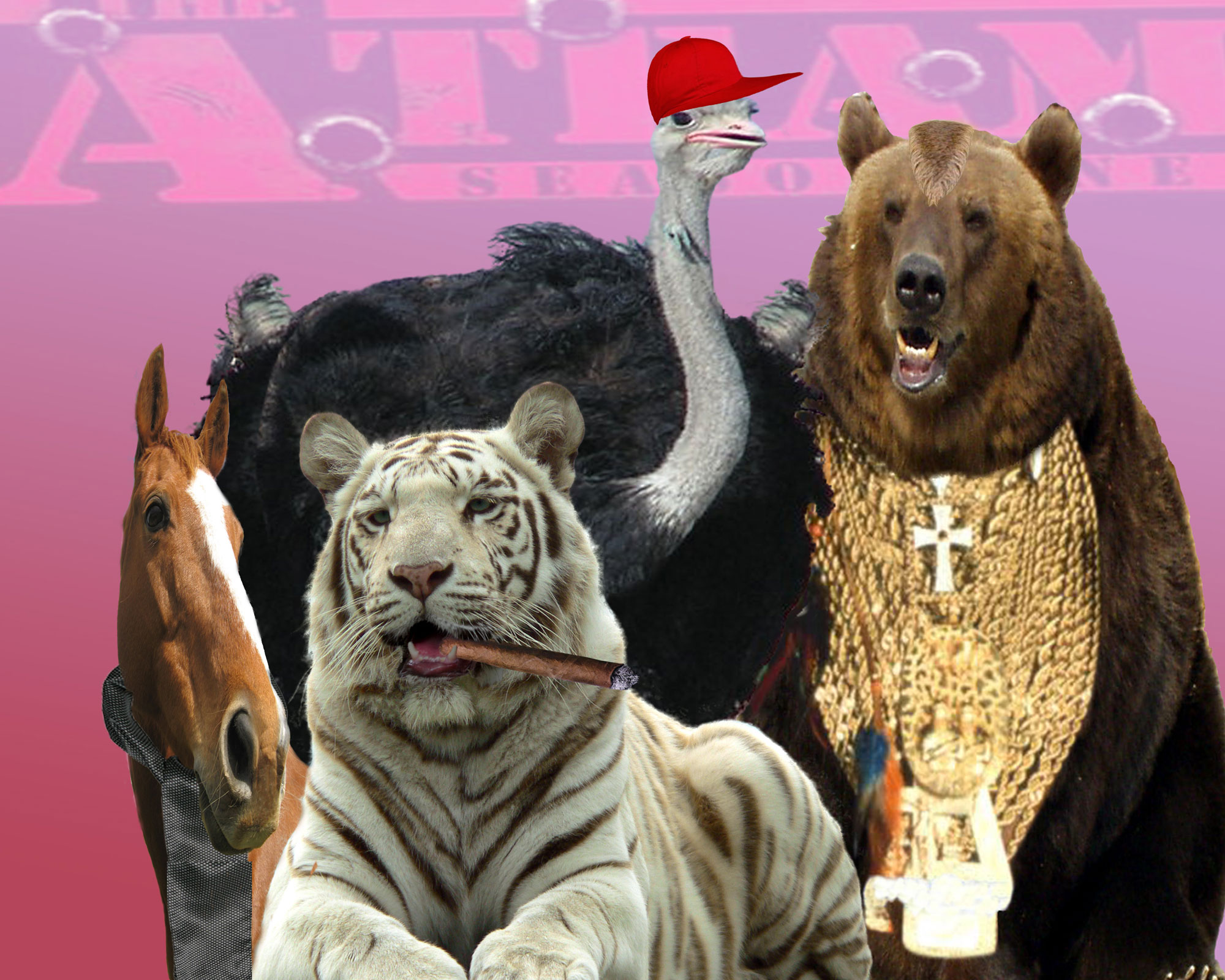 Diseño de Photoshop por carmanyola para DesignCrowd (Community Contests) | Diseño #8955683