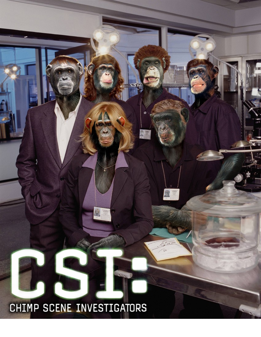 Design Photoshop par zsomeone pour DesignCrowd (Community Contests) | Design #8955647