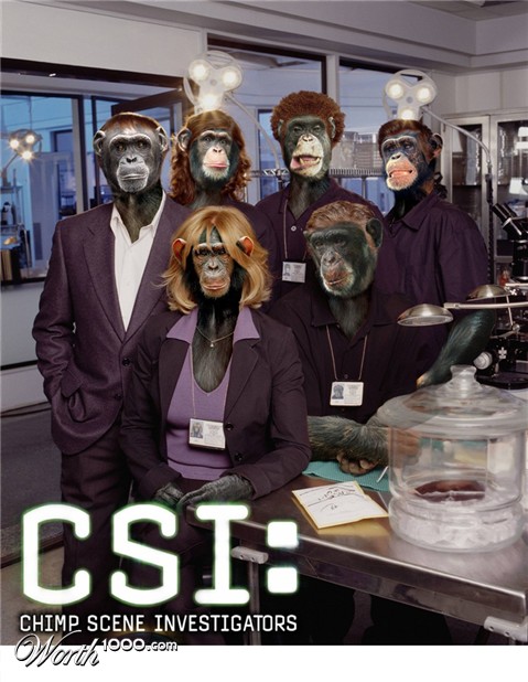 Photoshop Design by zsomeone