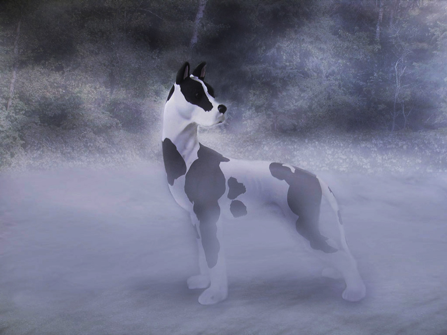 Design Photoshop par YearoftheDragon pour DesignCrowd (Community Contests) | Design #8956056