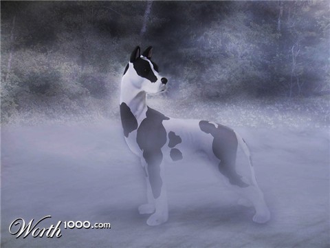 Photoshop Design by YearoftheDragon