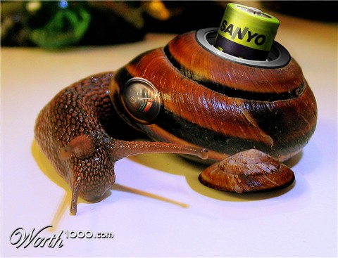 Photoshop Design by Nikko1