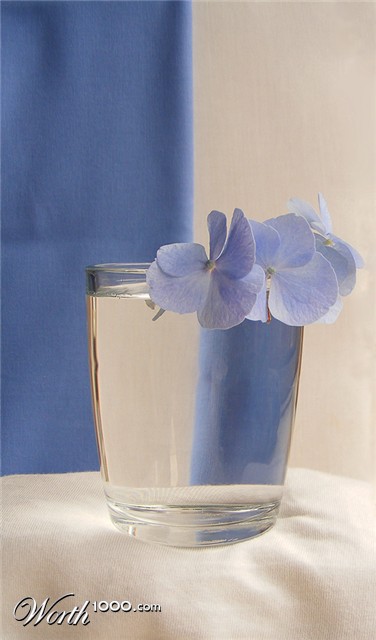 Photography by fujiellena