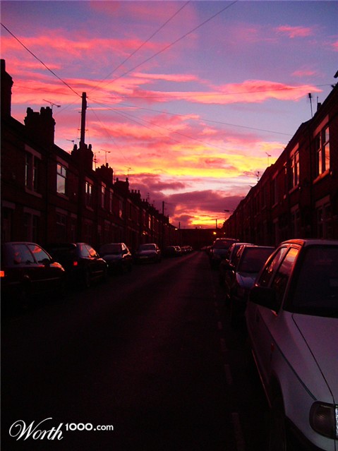 Photography by fujiellena