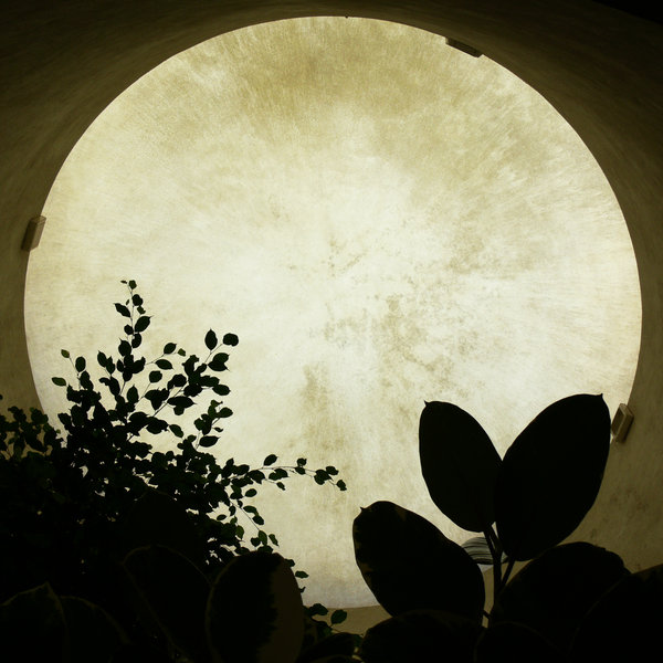 Photography by PozZz85 for DesignCrowd (Community Contests) | Design #8956980