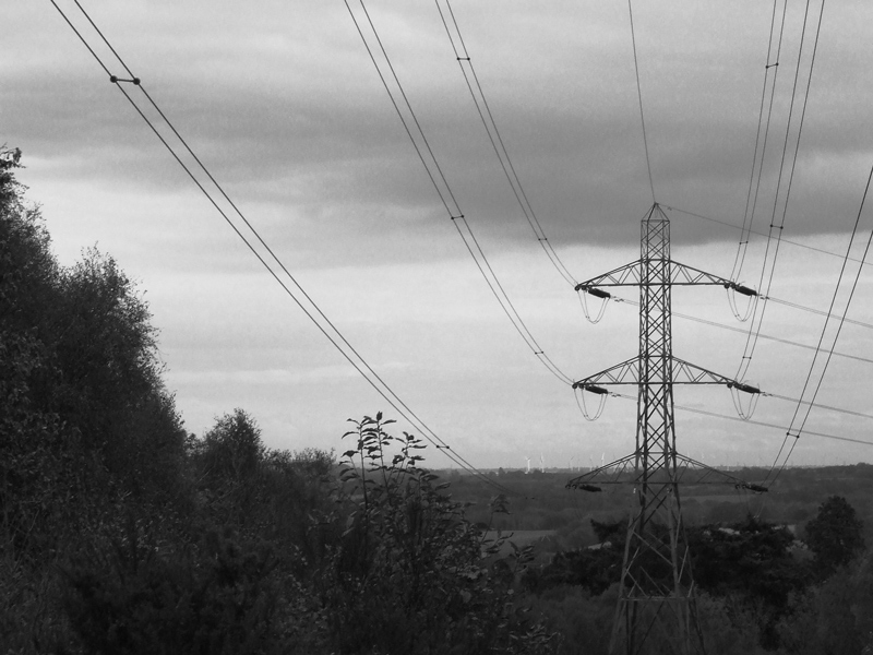 Photography by snofflewaffle for DesignCrowd (Community Contests) | Design #8959964