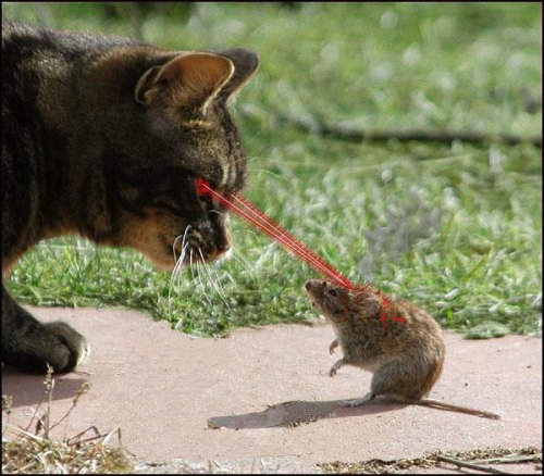 Photoshop Design by uksweetheart for DesignCrowd (Community Contests) | Design #8959481