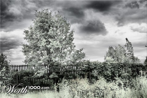 Photography by patrikeev