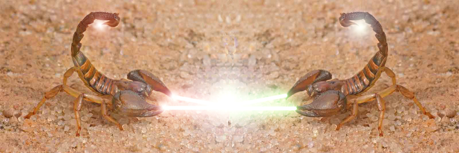 Photoshop Design by doruk19 for DesignCrowd (Community Contests) | Design #8959558