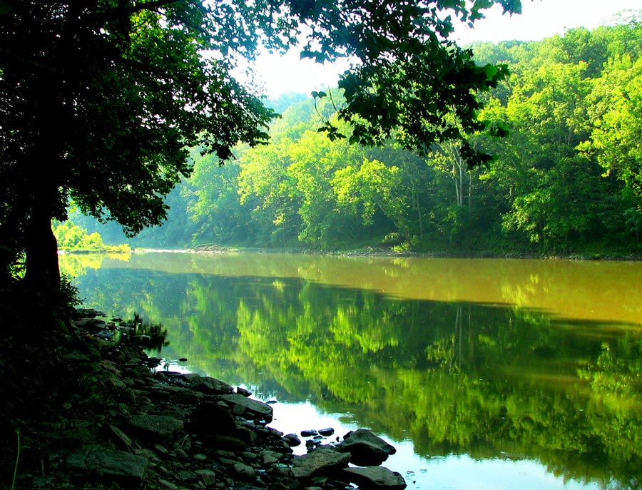 Photography by rocky0009 for DesignCrowd (Community Contests) | Design #8959394