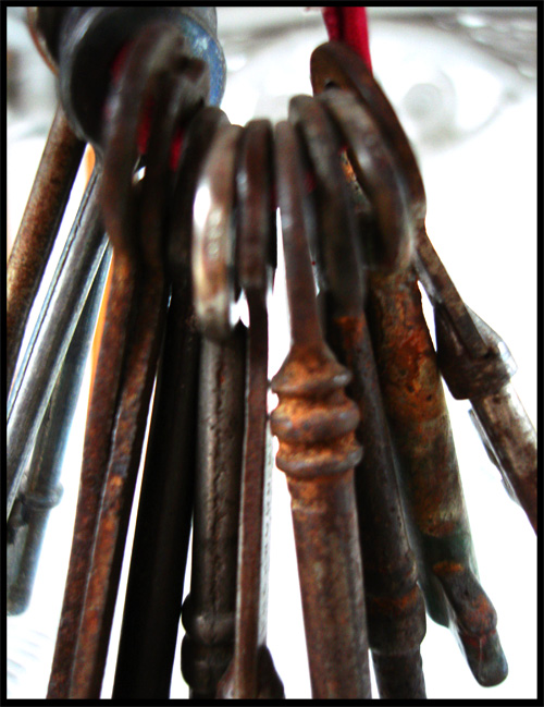 Photography by sbrundage09 for DesignCrowd (Community Contests) | Design #8964071