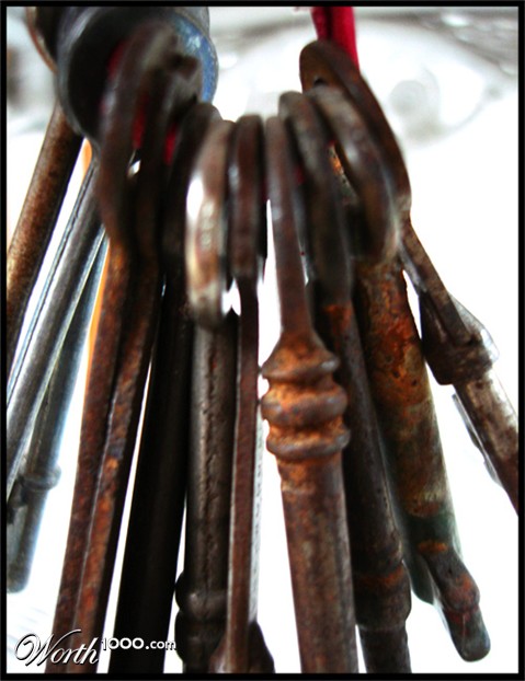 Photography by sbrundage09