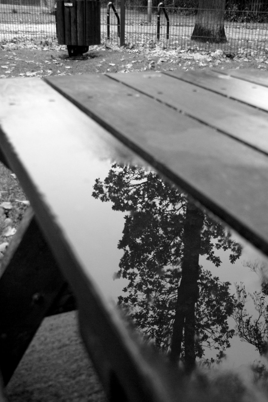 Photography by danielfellowes for DesignCrowd (Community Contests) | Design #8959398