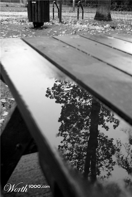 Photography by danielfellowes