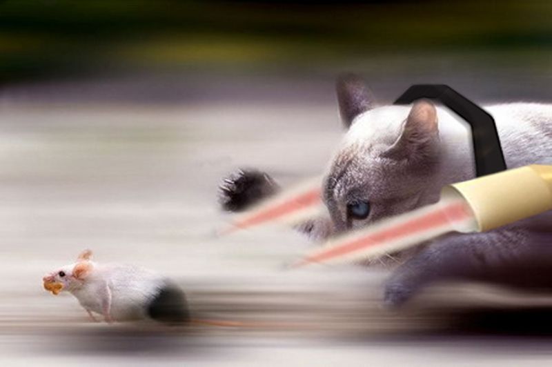 Photoshop Design by toehead for DesignCrowd (Community Contests) | Design #8959541