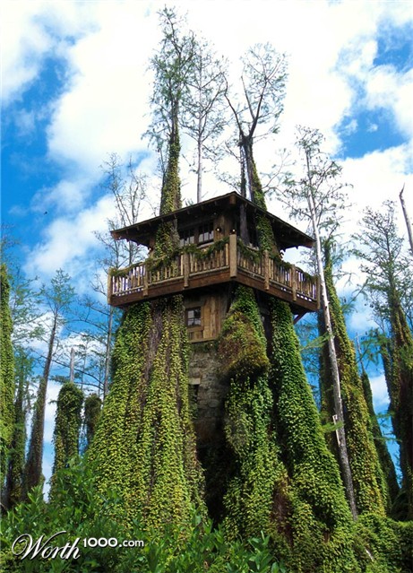 Photoshop Design by willibarb