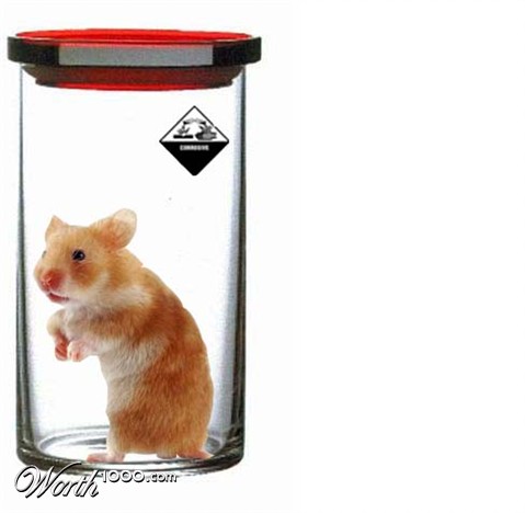 Photoshop Design by milou1992