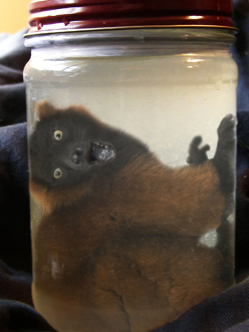 Diseño de Photoshop por TheBrok para DesignCrowd (Community Contests) | Diseño #8960324