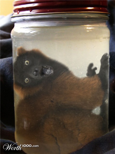 Photoshop Design by TheBrok