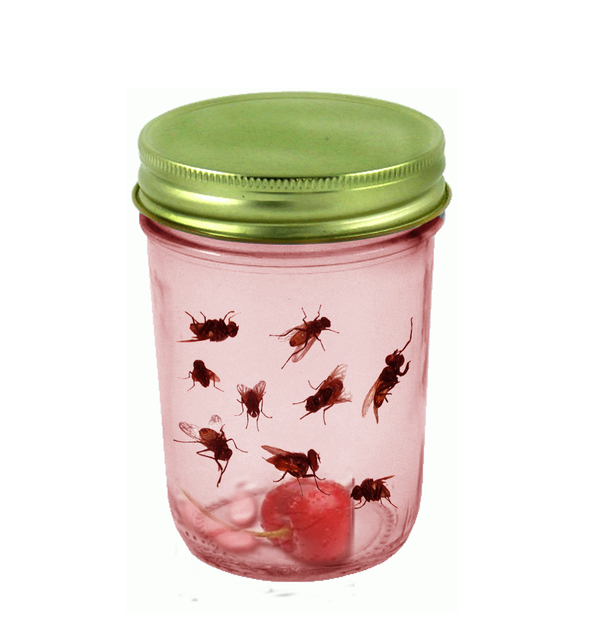 Photoshop Design by kdernbach2012 for DesignCrowd (Community Contests) | Design #8960359