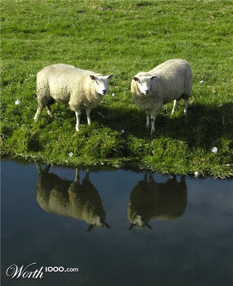 Photography by Roel1969