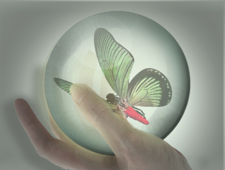 Photoshop Design by Myraxus for DesignCrowd (Community Contests) | Design #8960348