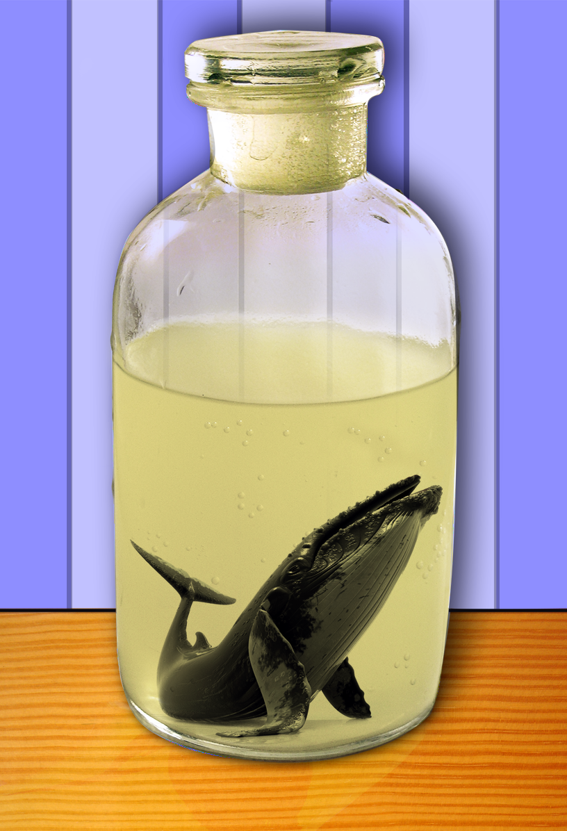 Photoshop Design by AscariDesign for DesignCrowd (Community Contests) | Design #8960371