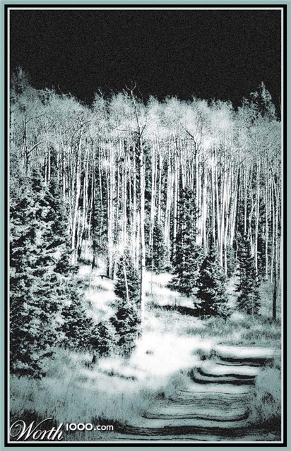 Photography by Lmorrow57